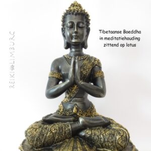 Tibetaanse Boeddha zwart-goud