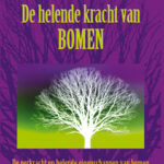 2. De helende kracht van bomen