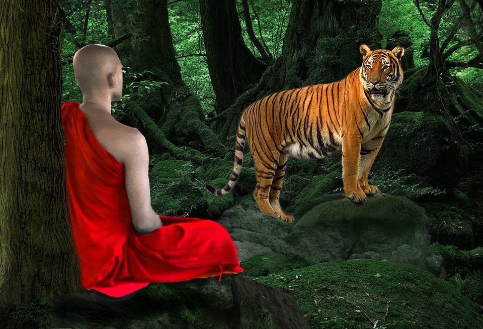 De kracht van Reiki
