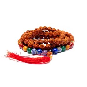 Rudraksha zaad en 7 chakra edelstenen