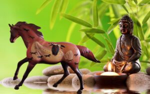 The trial of Painted PonieS - Afbeelding 4