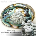 Abalone schelp medium of XL formaat | Voor smudge