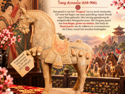 Terracotta (fergana)paard | Tang Dynastie