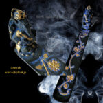 Ganesha wierookhouder | Zo mooi..... deze wil je hebben!