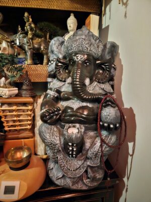 Ganesha god van kennis en wijsheid | 55 kilo - Afbeelding 2
