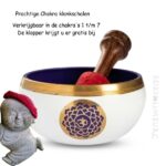 Chakra klankschalen | Bijzonder mooi!
