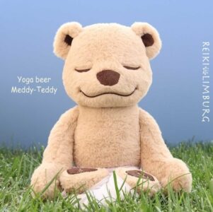 Meditatie Beer | 'Meddy-Teddy'