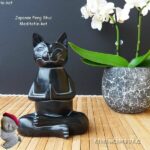 Feng Shui Meditatie Kat