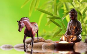 The trial of Painted PonieS - Afbeelding 5