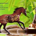 The trial of Painted PonieS