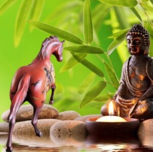 The trial of Painted PonieS - Afbeelding 6