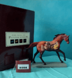 The trial of Painted PonieS - Afbeelding 2