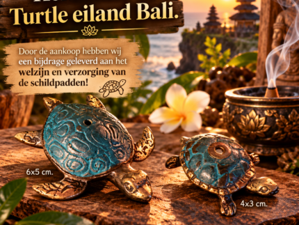 Wierookbrander Turtle | Brons