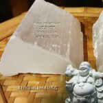 Seleniet brokstukken