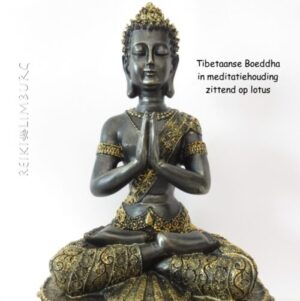 Tibetaanse Boeddha | exclusief model