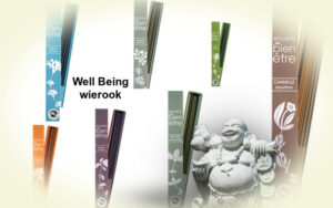 Well being wierook 30 stokjes | Heerlijke en weldadige geuren