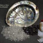 Abalone schelp met op -en ontlaadset