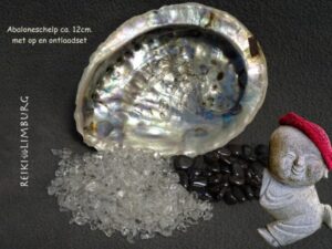 Abalone schelp met op -en ontlaadset