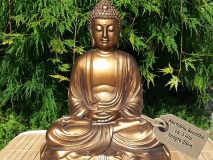 Meditatie Boeddha (Amitabha Boeddha)