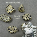 Dalmatiër Jaspis | Verdrijft o.a. negatieve gedachten