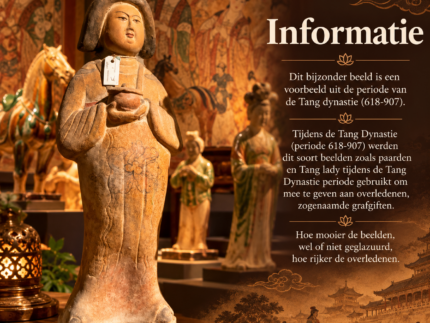 Tang Lady damesbeeld met hoog kapsel en traditioneel Chinees gewaad, gefotografeerd tegen een achtergrond van Tang-dynastiebeelden en paarden.