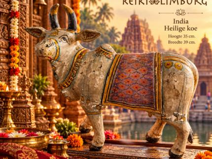 Heilige koe India