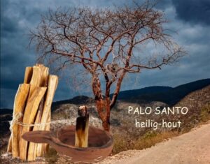 Palo Santo Heilig-Hout - Afbeelding 2