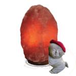Rode zoutlampen verkrijgbaar tot 10 kilo