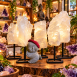 Prachtige Mineralen op voet 50% korting
