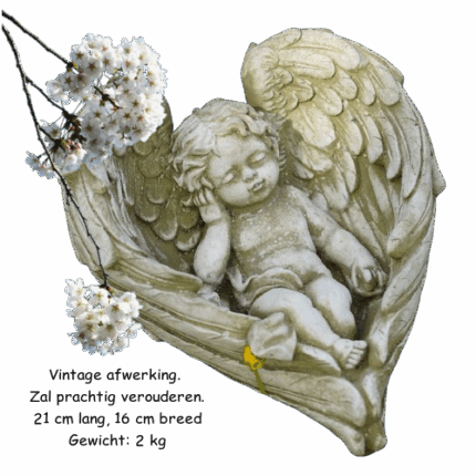 Engeltje in vleugels (cherubijn)